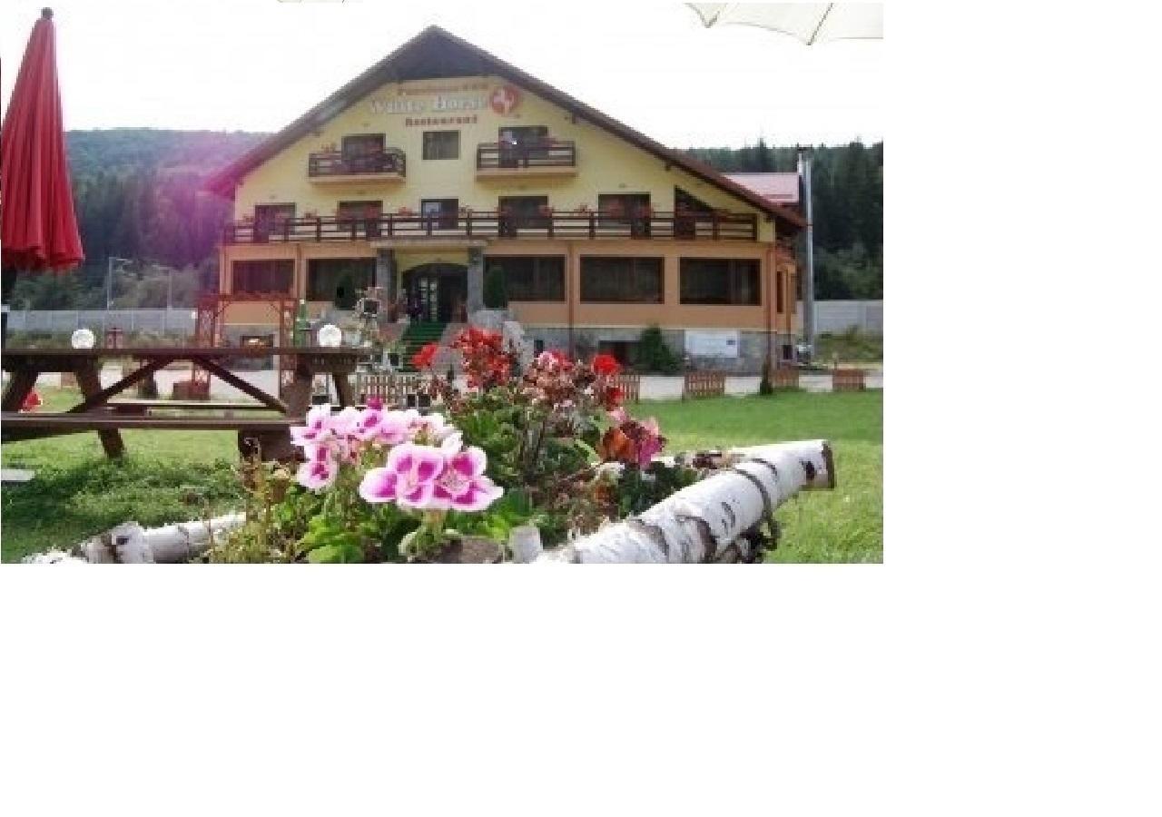 White Horse Hotel Predeal Buitenkant foto